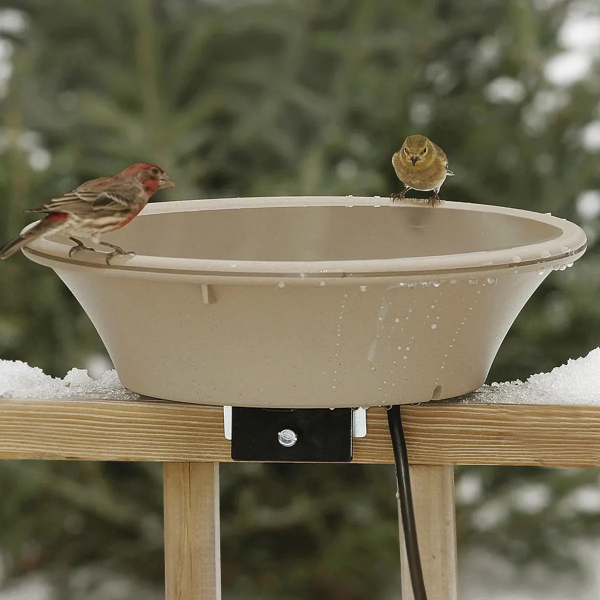 14" Heated Bird Bath with EZ-Tilt Deck and Pole Mount