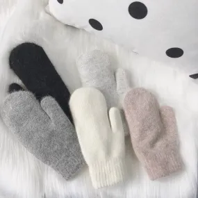 Double Layer Plush Mittens - Warm Winter Accessories for Cozy Hands