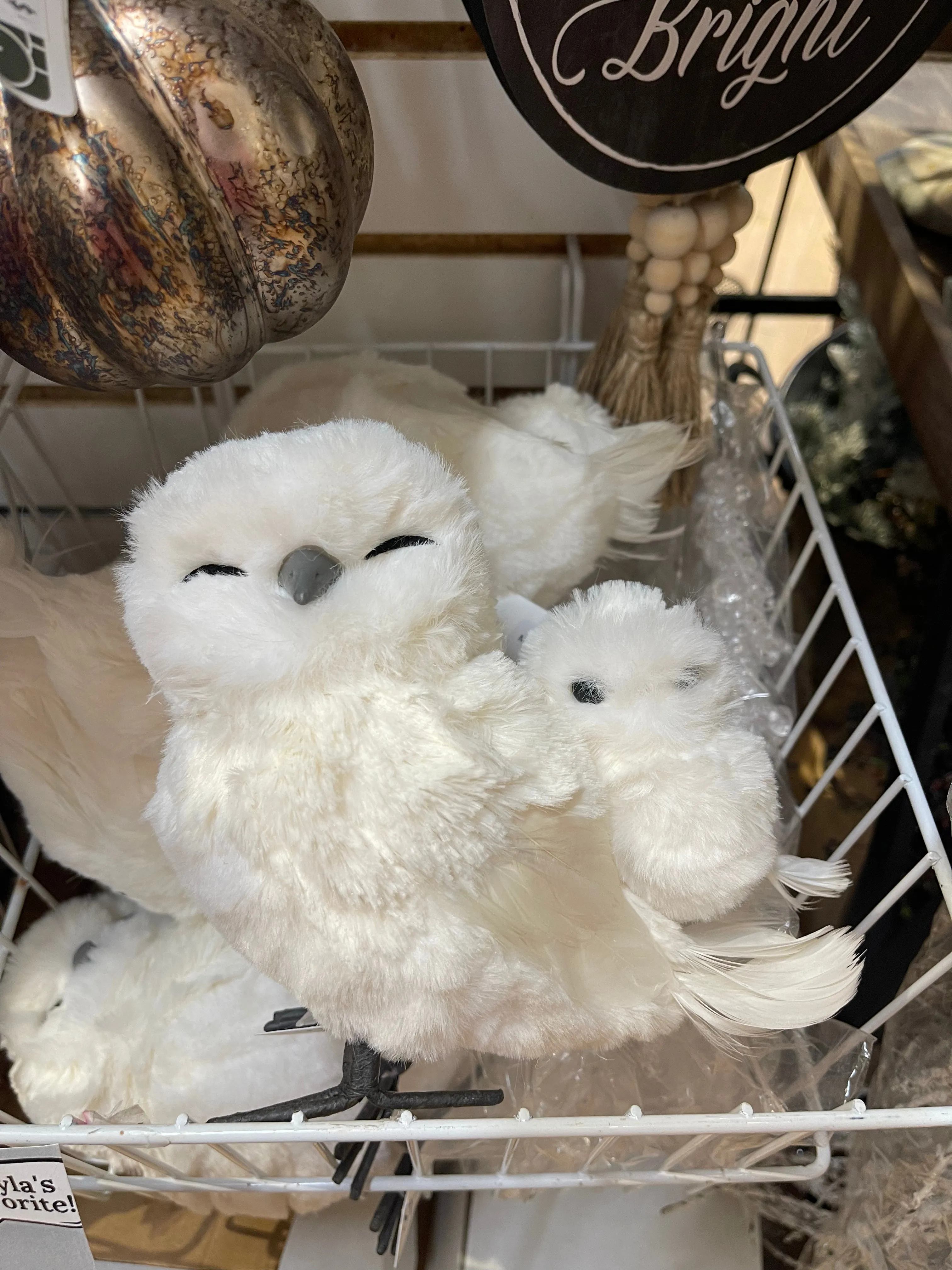 Feather Winter Owl & Baby