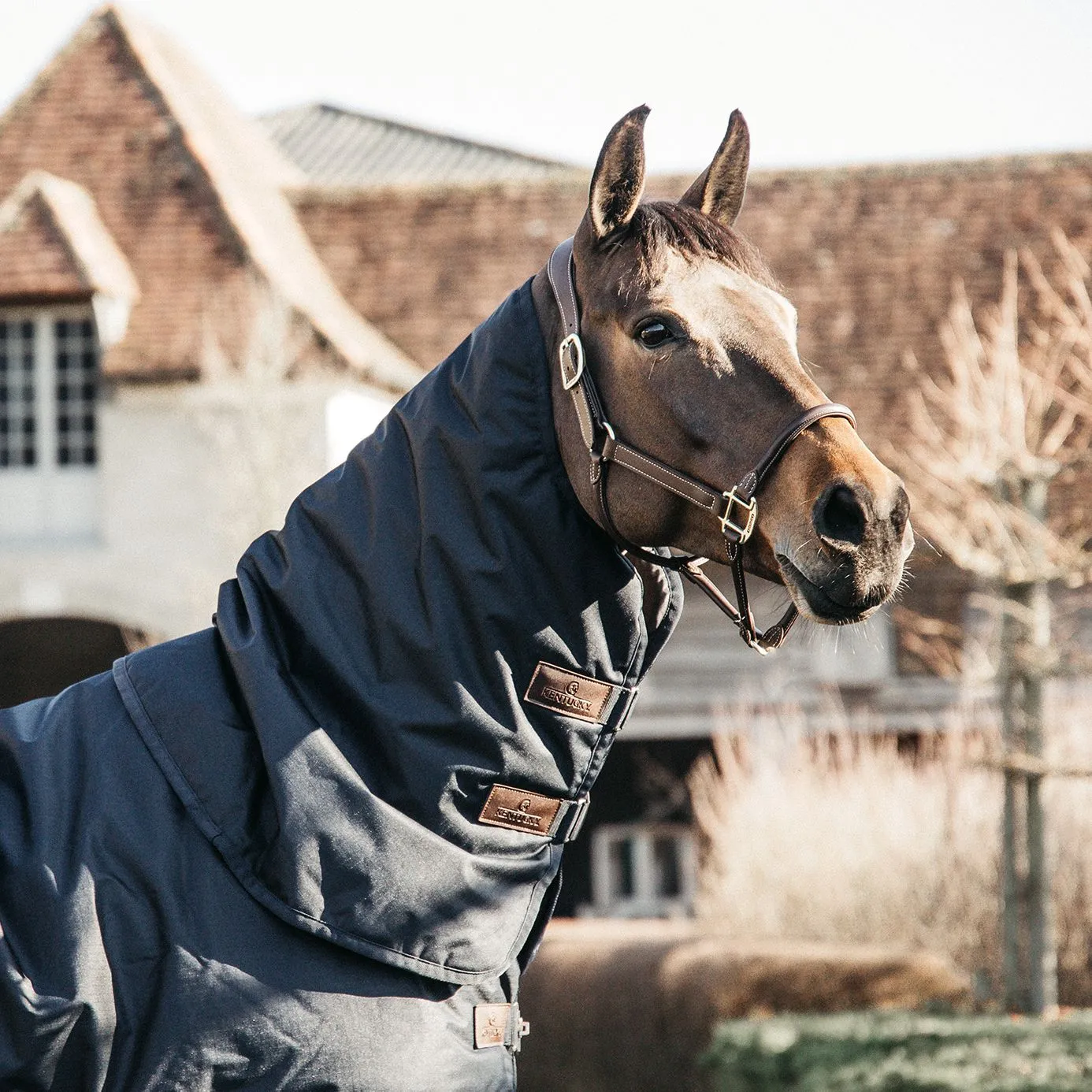 Kentucky Horsewear Turnout Neck Cover All Weather Waterproof Classic 150g - Navy