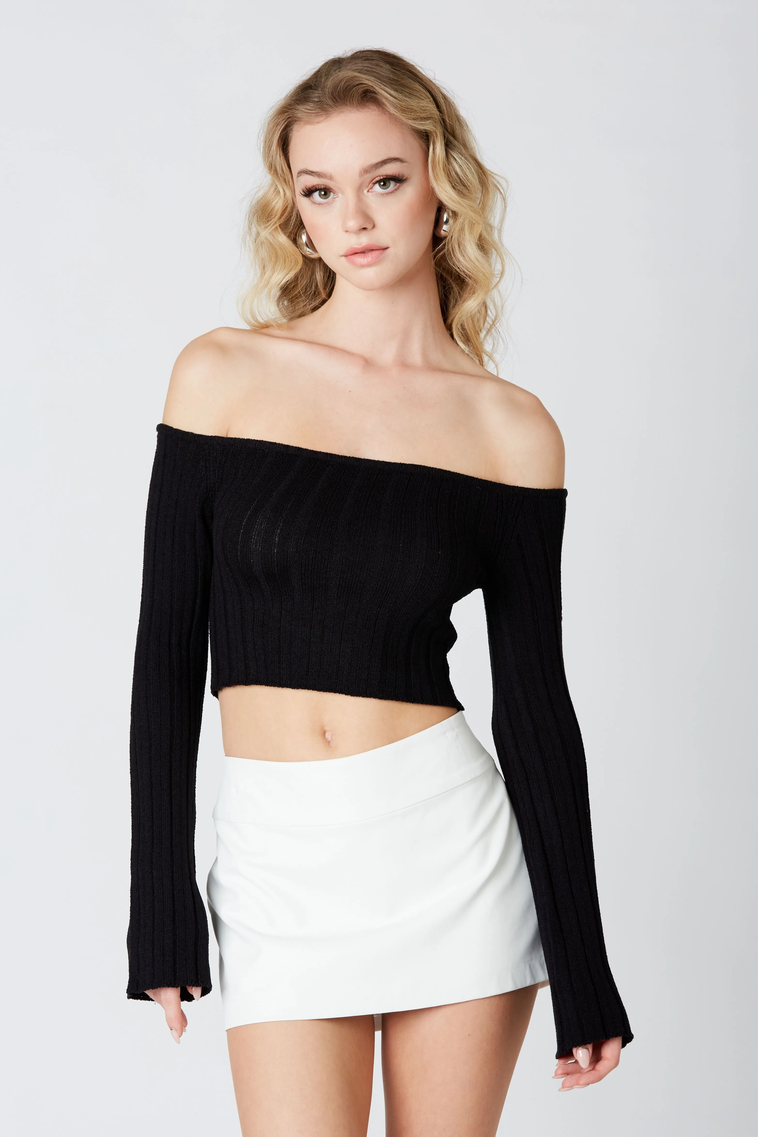 Lexi Light Ribbed Knit Off the Shoulder Sweater Crop Top - Black