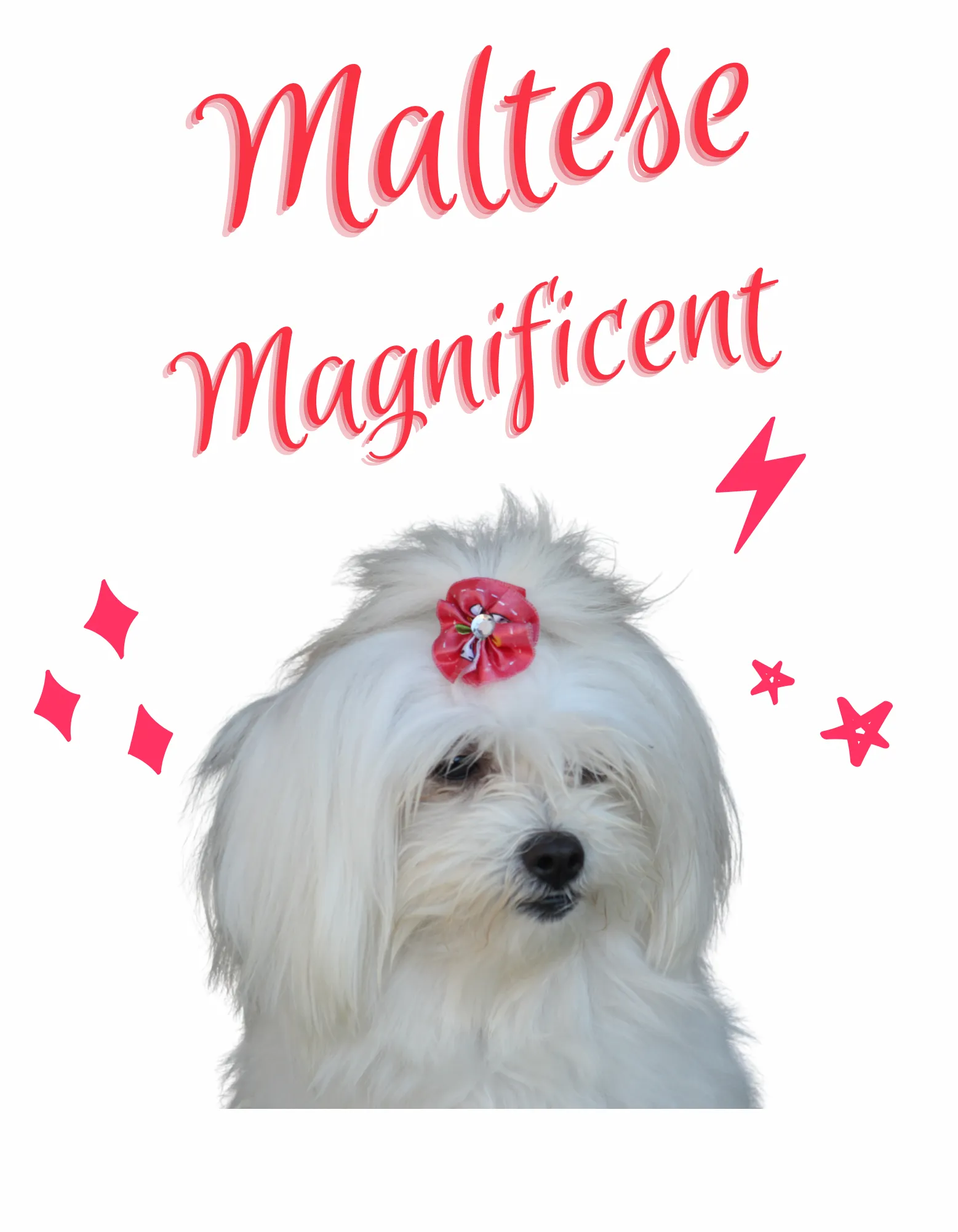 Magnificent Maltese (Pet Shirt)