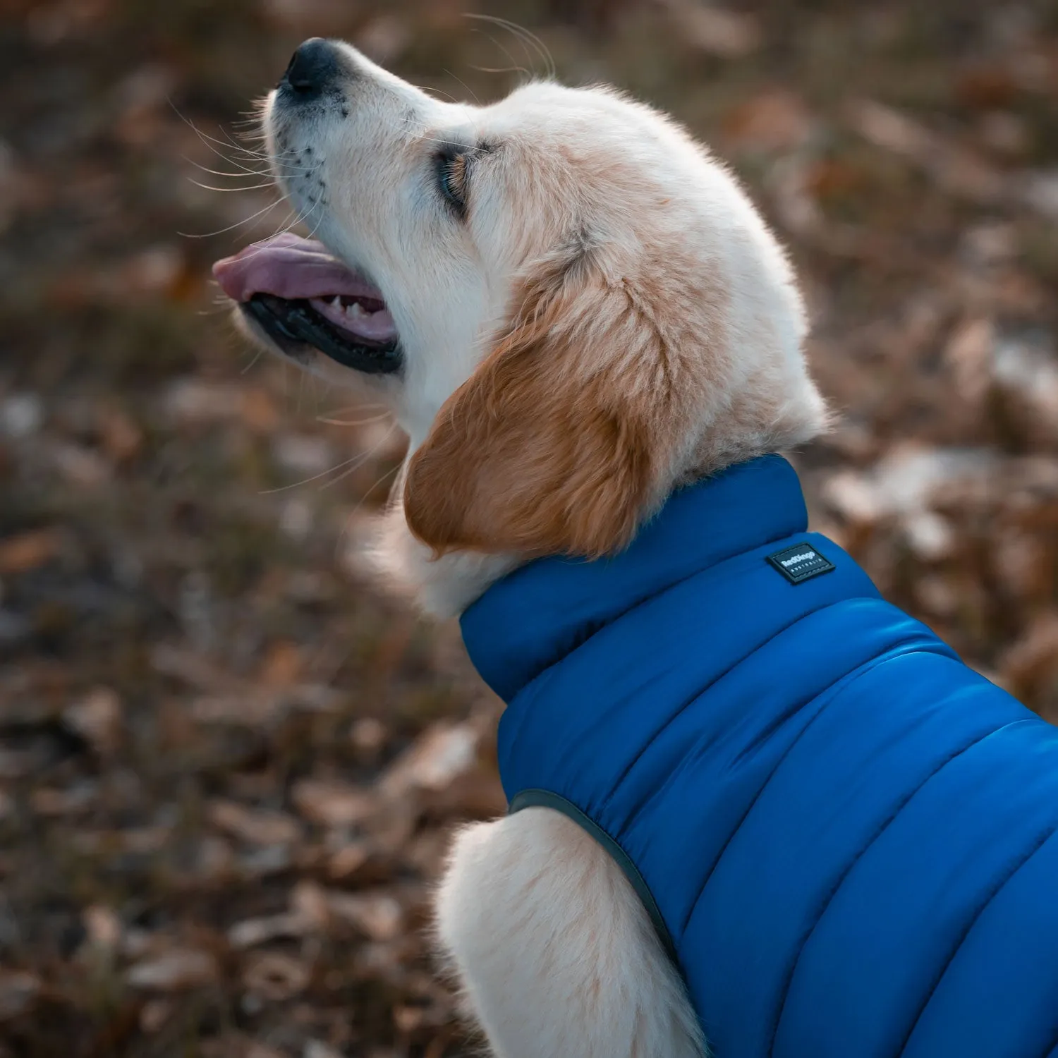 Red Dingo Puffer Jackets